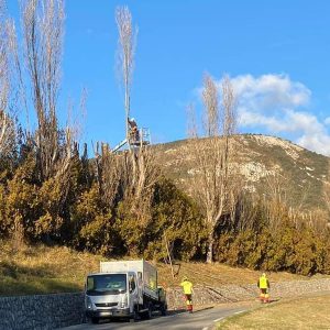 Campagne d’élagage