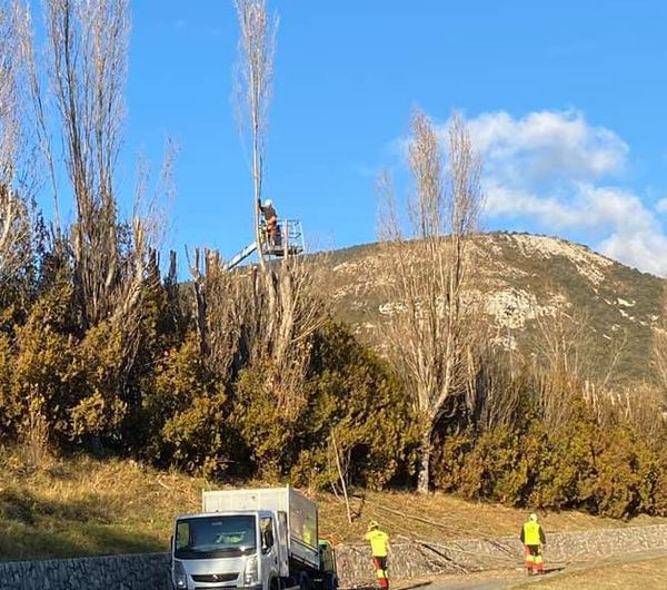 Campagne d’élagage