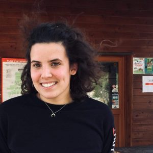 Du nouveau au camping Du nouveau au camping