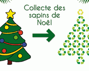 Collecte et valorisation des sapins de Noël Collecte et valorisation des sapins de Noël