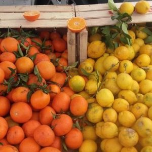 « Allan Agrumes » et son stand de fruits & légumes tous les mercredis à La Roque